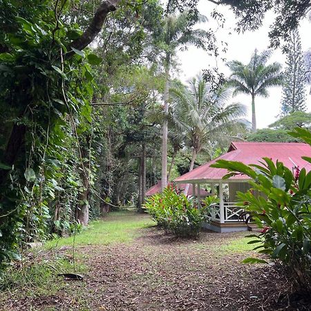 Evasion Bungalow D'Antan Spa Sarraméa Eksteriør billede