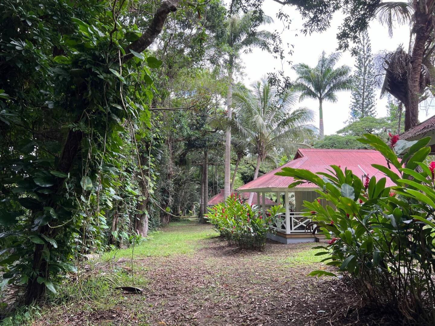 Evasion Bungalow D'Antan Spa Sarraméa Eksteriør billede